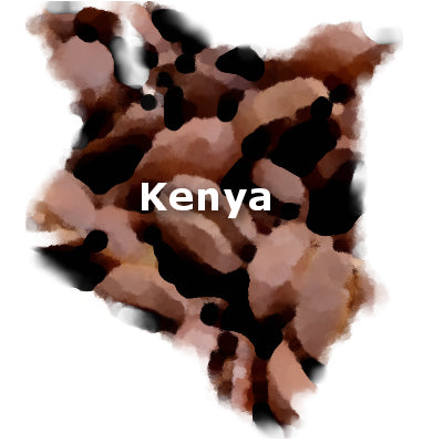 Kenya AA 16 oz